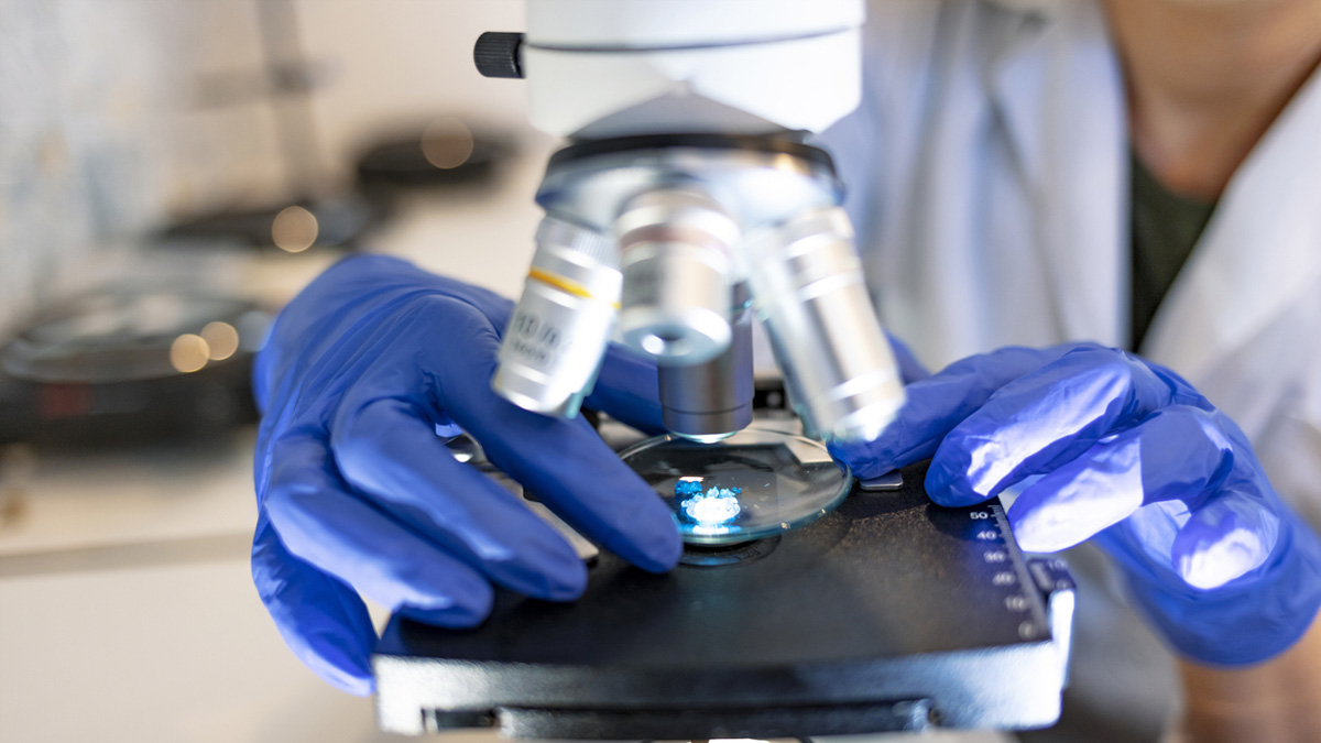 Observer les nanoparticules au microscope